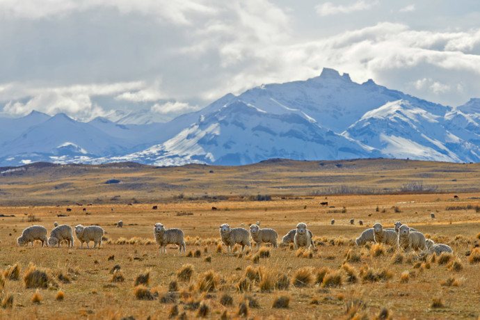 El Calafate, Patagonie.