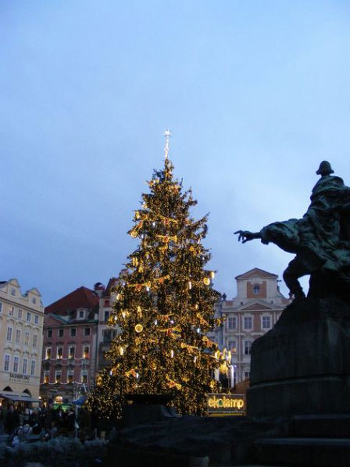 Letošní strom pochází z Libereckého kraje.