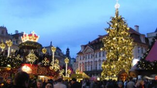 Pokácení stromu z Liberecka s průměrem kmene 90 centimetrů se zhostil několikanásobný šampion v kácení motorovou pilou Jiří Vorlíček.