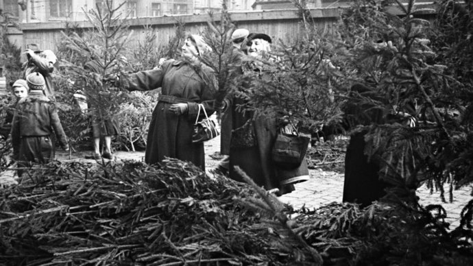 Stromky bývaly živé, levnější a hezčí