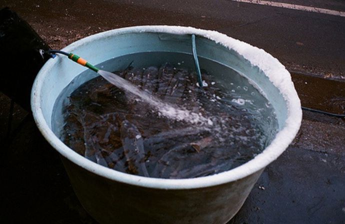 Začíná se blížit období, kdy se všude na ulicích objeví kádě s rybami.