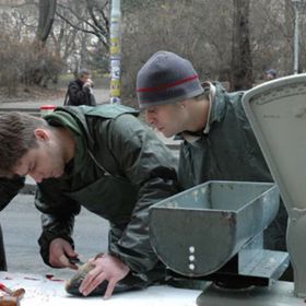 Nejlepší je nechat kapra zabít hned na místě.