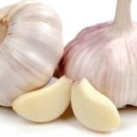 Česnek je účinným pomocníkem při boji s nachlazením.