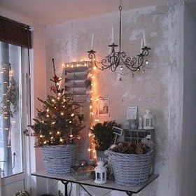 Stromky v květináči jsou ideální alternativou.