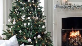 Sladěný interiér se stromečkem se rozmohl v posledních letech.