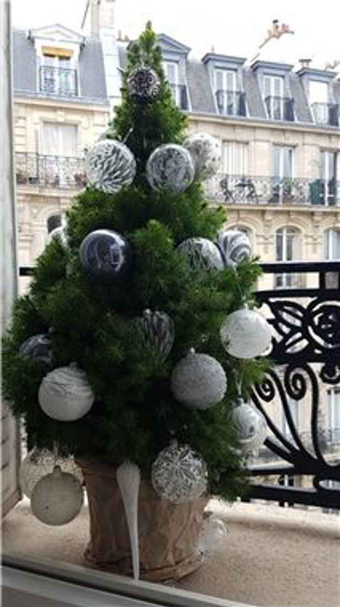 I malému stromečku ozdoby sluší.