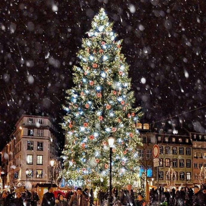 Štrasburk je velmi fotogenický a barevný