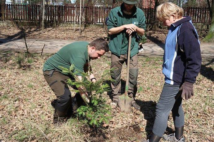 Pokud zahrádku nemáte, můžete se zúčastnit hromadné výsadby v Krčském lese.