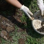 Není to práce úplně pro každého.