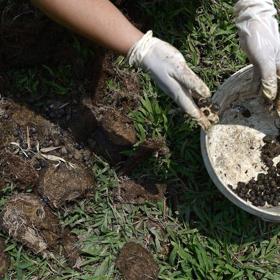 Není to práce úplně pro každého.