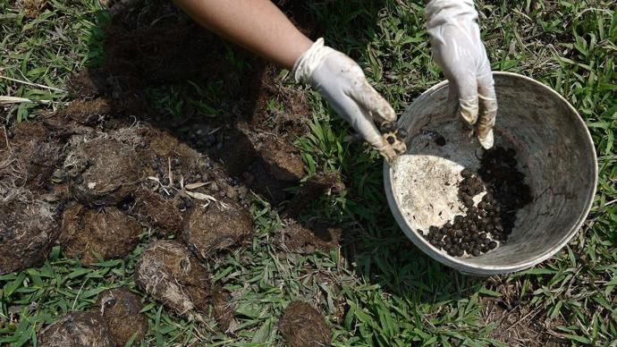 Není to práce úplně pro každého.