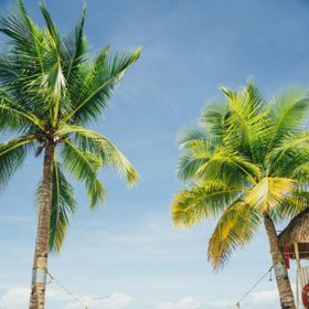 Vyvalit se můžete i na pláži.