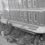 Stromek obstarával muž.