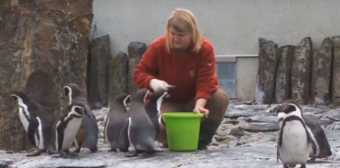 Setkání u tučňáků je v 11 hodin.