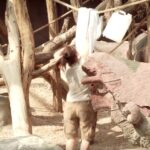 Orangutanům udělá radost kus starého prostěradla.