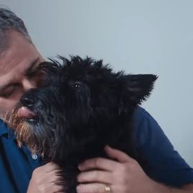 Mnoho majitelů pejsků neví, jak své miláčky na poslední den v roce připravit.