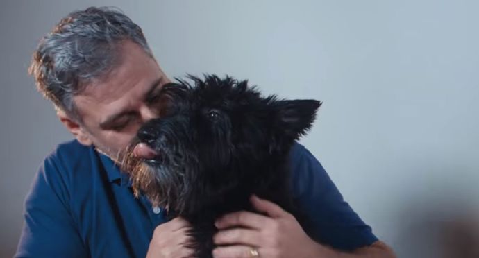 Mnoho majitelů pejsků neví, jak své miláčky na poslední den v roce připravit.