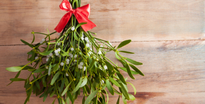 Milenci by se měli políbit pod jmelím