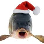 Šupiny z kapra patří pod talíř