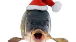 Šupiny z kapra patří pod talíř