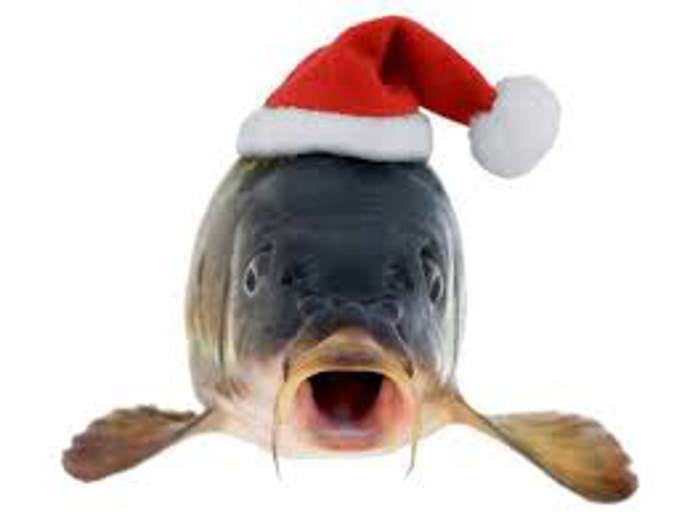 Šupiny z kapra patří pod talíř