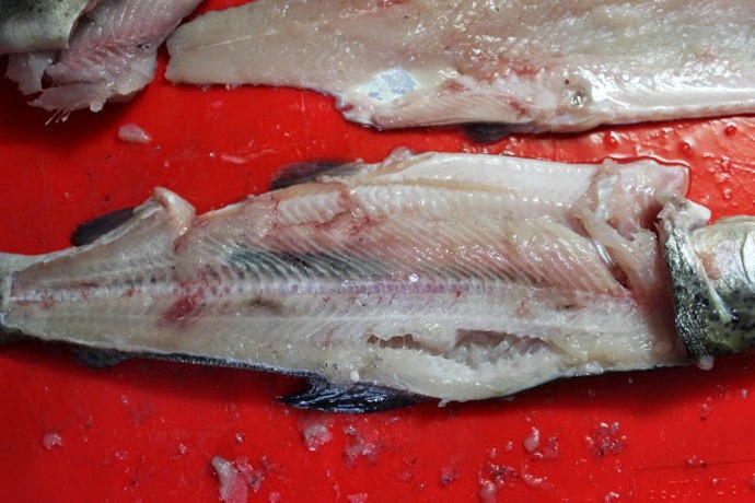 Z kapra je nejdříve nutné odstranit páteř