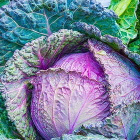 Červené zelí není tak blahodárné jako bílé.