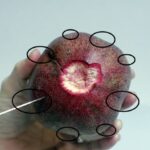 Jak načít kokos a nakrájet cibuli bez plakání? 7 tipů, jak porcovat ovoce a zeleninu jako šéfkuchař