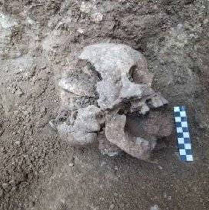 Takhle prý vypadaly lebky upírů