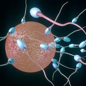 Oslabený organismus otěhotní snáze