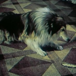 Slaneček je na obou záběrech na jiné straně