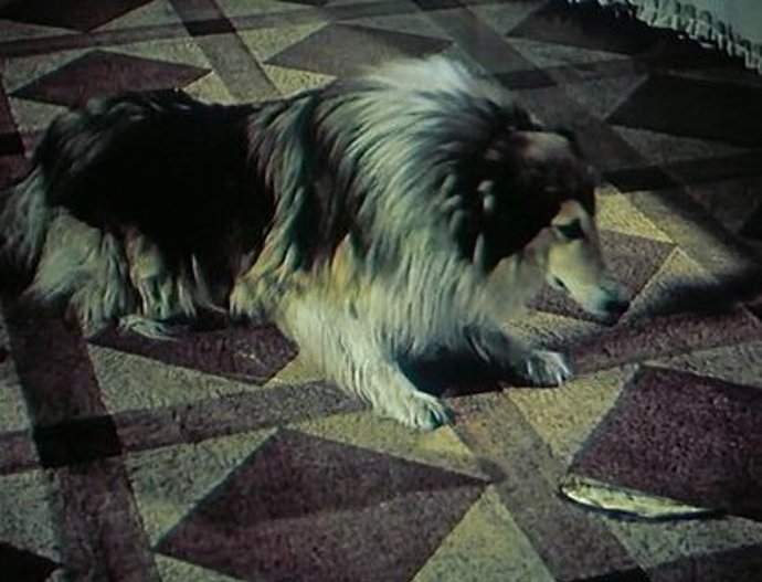 Slaneček je na obou záběrech na jiné straně