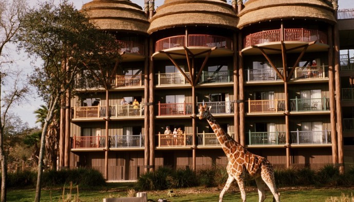 Disney’s Animal Kingdom (Florida, Spojené státy americké).