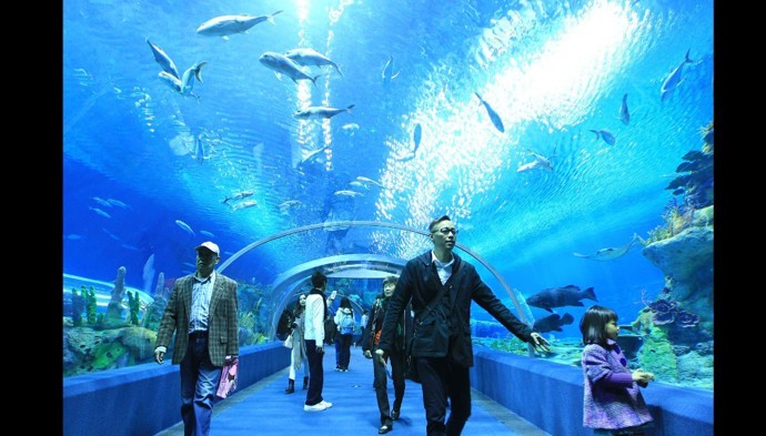 Chimelong Ocean Kingdom (Čína).