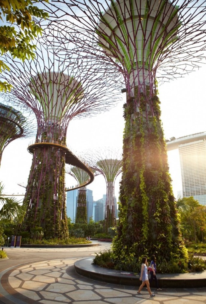 Prohlédněte si „superstromy“ v Singapuru.