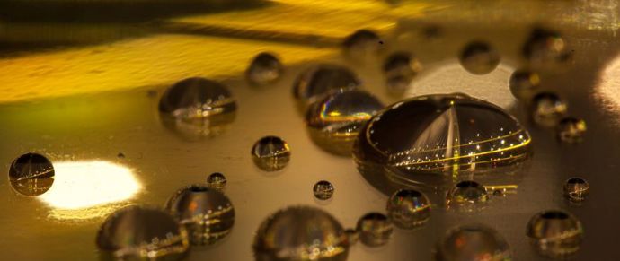 Most na Adi (Bělehrad).