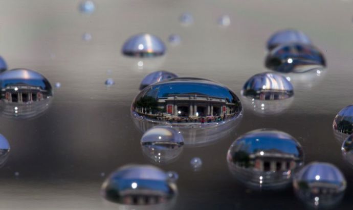 Národní knihovna (New York).