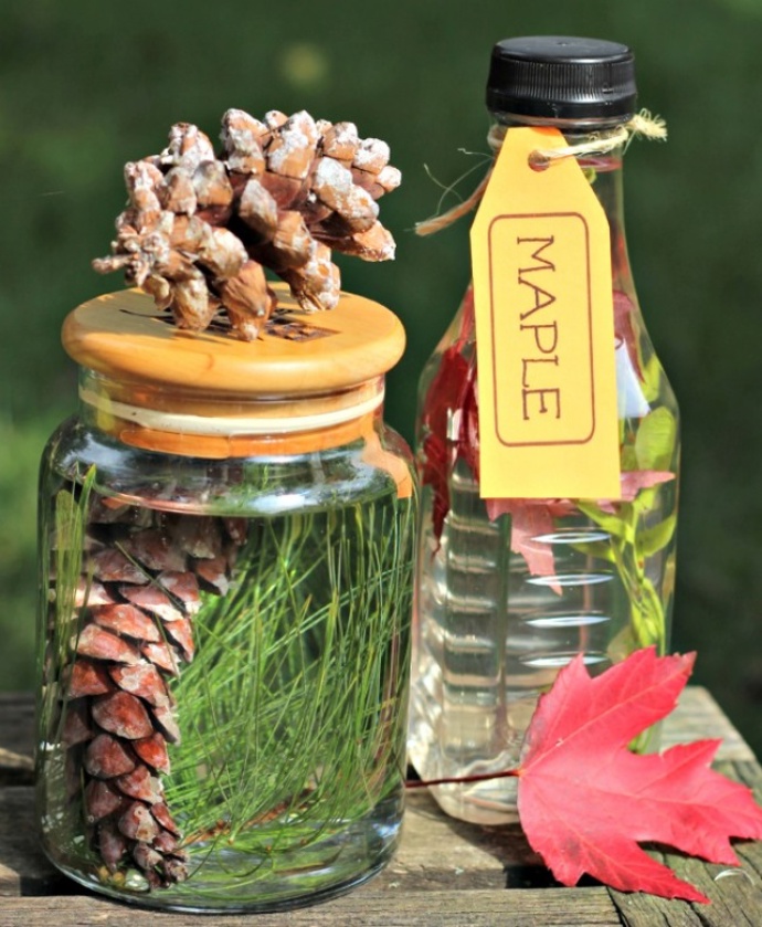 Nechte vyrůst strom ve sklenici...