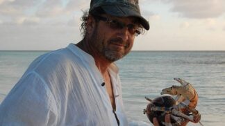 Steve Lichtag je autorem populárního snímku Dobrodružství oceánů: Carcharias – Velký bílý.