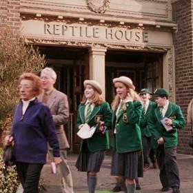 Pavilon plazů v londýnské ZOO.