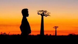 Snímek Baobaby mezi souší a mořem zachycuje problematiku odlesňování, které ztěžují baobaby.