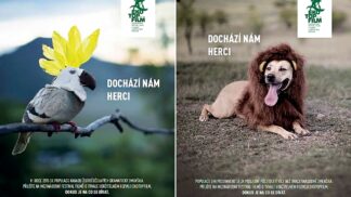 Ekotopfilm upozorní na tematiku hubení zvířat a jejich alarmující počet.