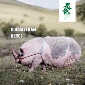 Mnohé druhy zvířat po celém světě jsou na pokraji vyhynutí. Až z naší planety vymizí úplně, už nebude možné pozorovat je ve volné přírodě a natáčet přírodopisné filmy z africké savany nebo indonéského pralesa, upozorňují pořadatelé festivalu.