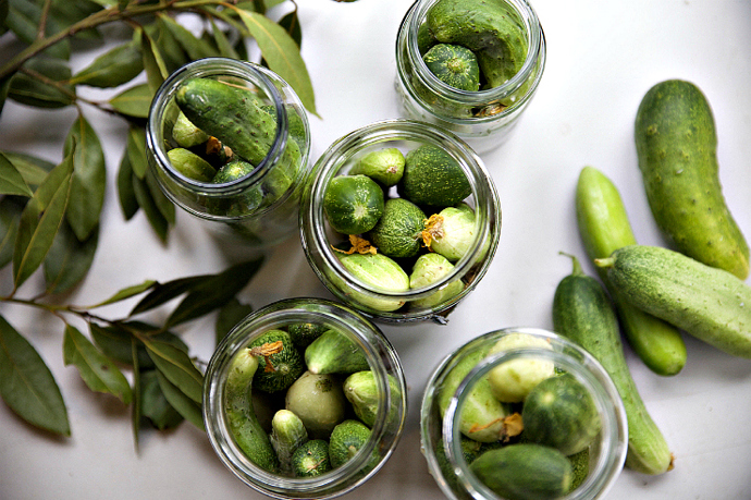 Fermentované potraviny obsahují vysoký podíl zdravých bakterií zvaných probiotika. Tyto živé organismy podle závěrů mnoha studií příznivě ovlivňují úzkostné poruchy.