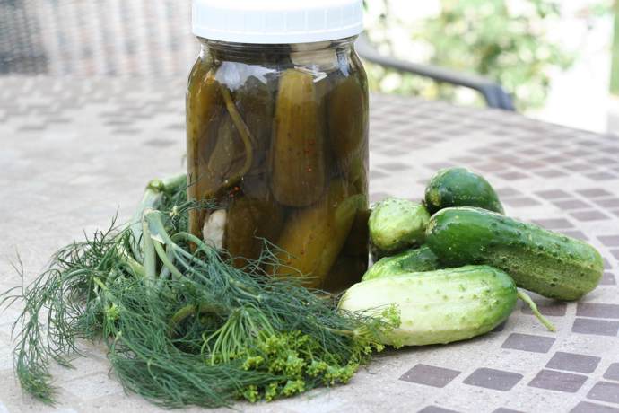 Probiotika rovněž posilují naši imunitu a jsou pokladnicí sodíku.