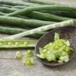 Tato rostlina obsahuje hned několik látek, které dokážou likvidovat rakovinné buňky.