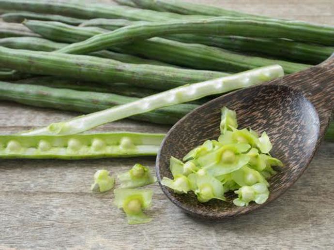Tato rostlina obsahuje hned několik látek, které dokážou likvidovat rakovinné buňky.