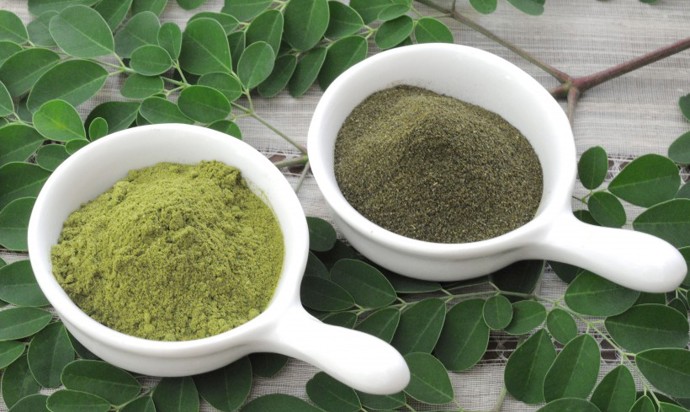Moringa rovněž dodává tělu vitamíny a další důležité živiny.