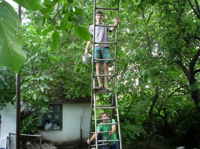 Nedělní koláč prostě bez ořechů nebude ono!