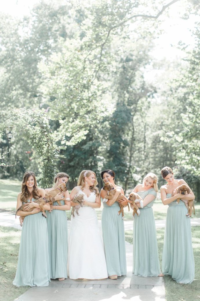 Tak trochu jiná kytice. Nevěsta Sarah toužila po svatebních fotografiích s osamělými štěňátky.